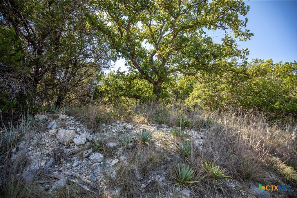 Image 34 of property listing at 0 Wilson Branch Road, Killeen, TX 76542