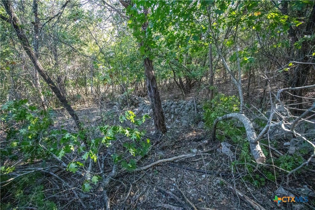 Image 35 of property listing at 0 Wilson Branch Road, Killeen, TX 76542
