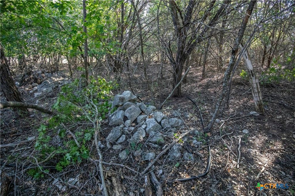 Image 37 of property listing at 0 Wilson Branch Road, Killeen, TX 76542
