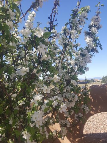1 Sombra Court, Santa Fe, NM 87508