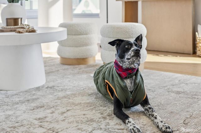 1310 Fillmore Street 708, San Francisco, CA 94115