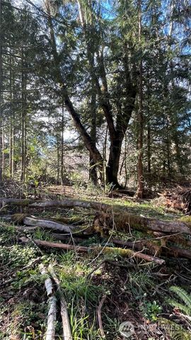 236 Pattee Road, Chehalis, WA 98532