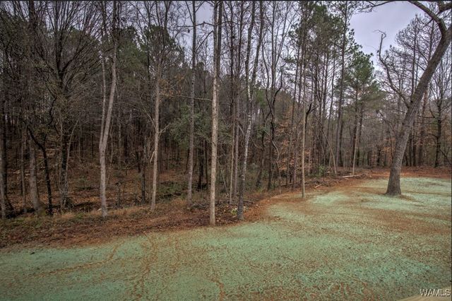 12159 Northside, Berry, AL 35475