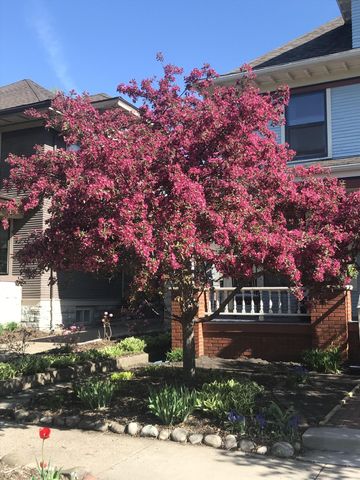 937 Laurel Avenue, Saint Paul, MN 55104