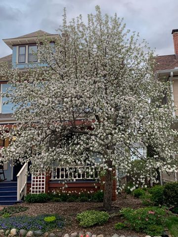 937 Laurel Avenue, Saint Paul, MN 55104