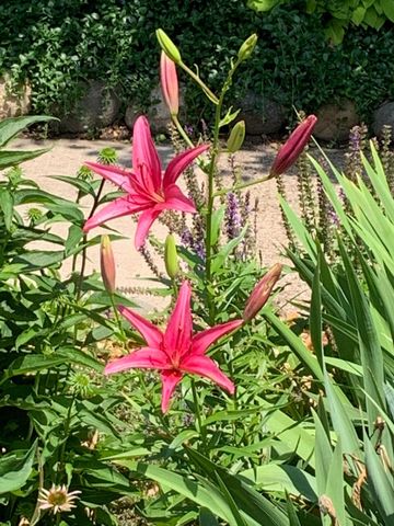 937 Laurel Avenue, Saint Paul, MN 55104