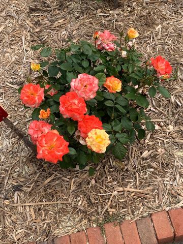 937 Laurel Avenue, Saint Paul, MN 55104