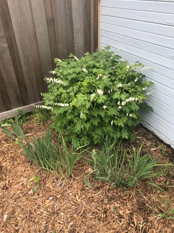 937 Laurel Avenue, Saint Paul, MN 55104