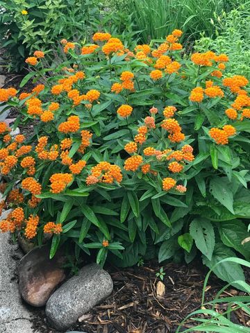 937 Laurel Avenue, Saint Paul, MN 55104