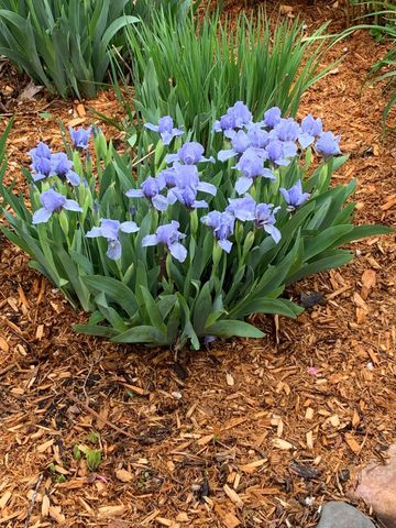 937 Laurel Avenue, Saint Paul, MN 55104