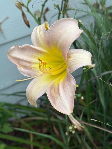 937 Laurel Avenue, Saint Paul, MN 55104