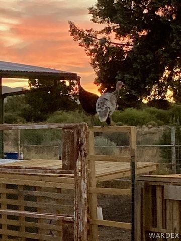 1575 S Roy Road, Kingman, AZ 86401