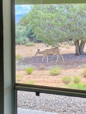 1575 S Roy Road, Kingman, AZ 86401