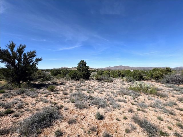 1575 S Roy Road, Kingman, AZ 86401