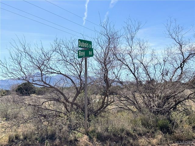 1575 S Roy Road, Kingman, AZ 86401