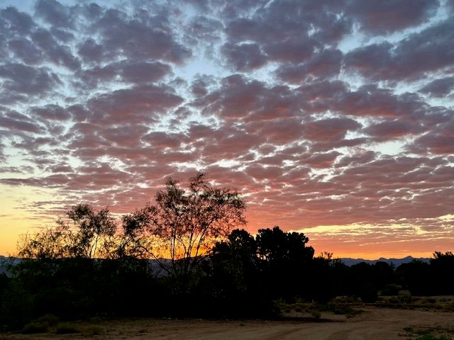 1575 S Roy Road, Kingman, AZ 86401