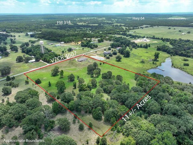 1461 VZ County Road 4607, Ben Wheeler, TX 75754