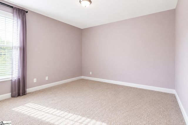 409 Trillium Creek Court, Travelers Rest, SC 29690