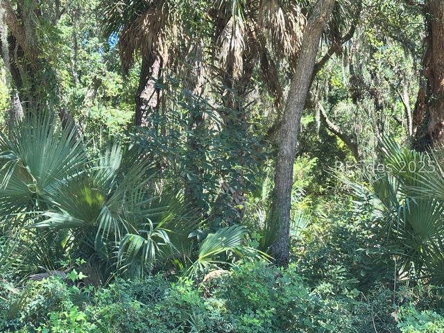 127 Horse Island Rd, St Helena Island, SC 29920