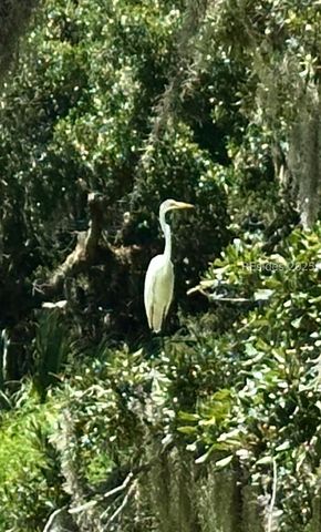 127 Horse Island Rd, St Helena Island, SC 29920