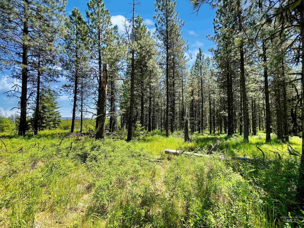 0 Timberline Heights, Parcel 8, Weippe, ID 83553 photo 4