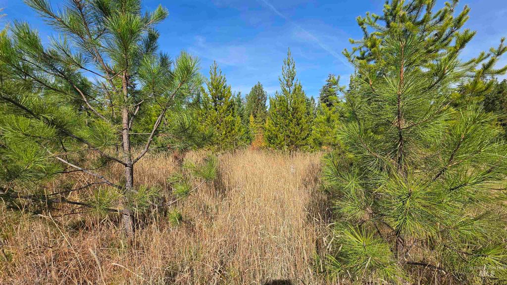 0 Timberline Heights, Parcel 8, Weippe, ID 83553 photo 5