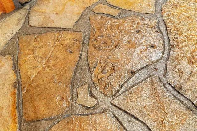 100 Trout Way, Judsonia, AR 72081