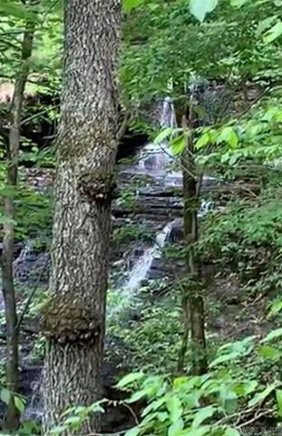 100 Trout Way, Judsonia, AR 72081