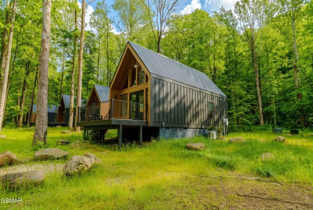 228 Braydens Way, Gatlinburg, TN 37738