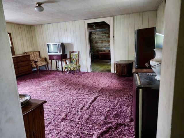 5255 Wilderness RD, Dublin, VA 24084