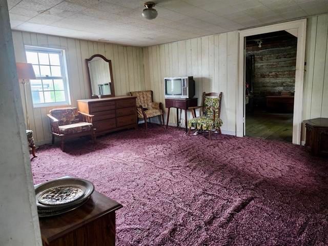 5255 Wilderness RD, Dublin, VA 24084