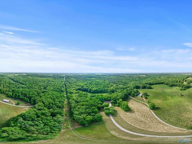 7663 County Road 92, Rogersville, AL 35652