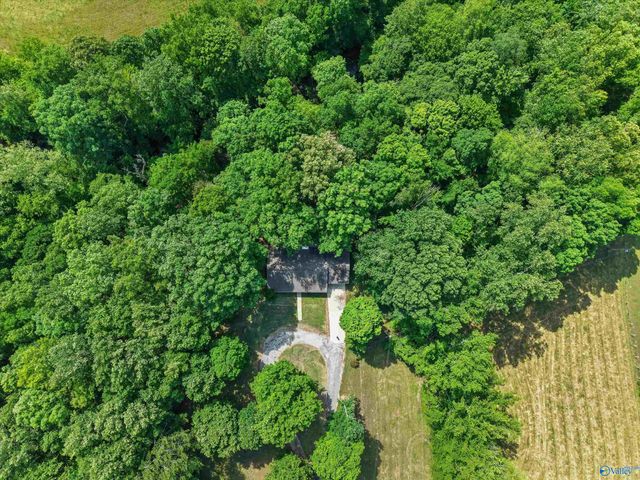 7663 County Road 92, Rogersville, AL 35652