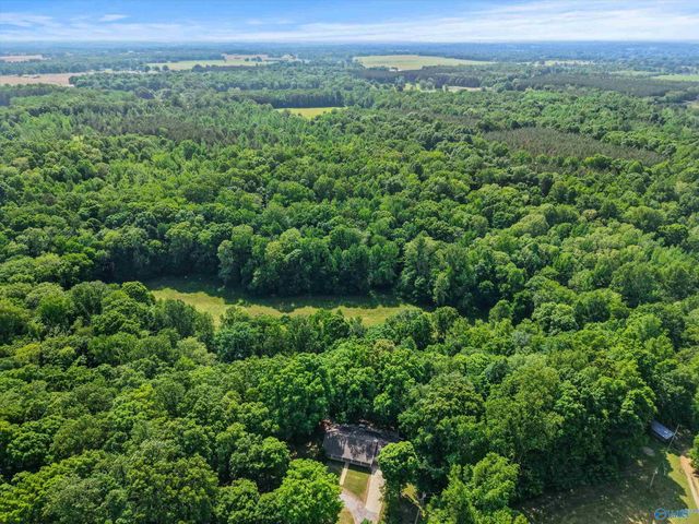 7663 County Road 92, Rogersville, AL 35652