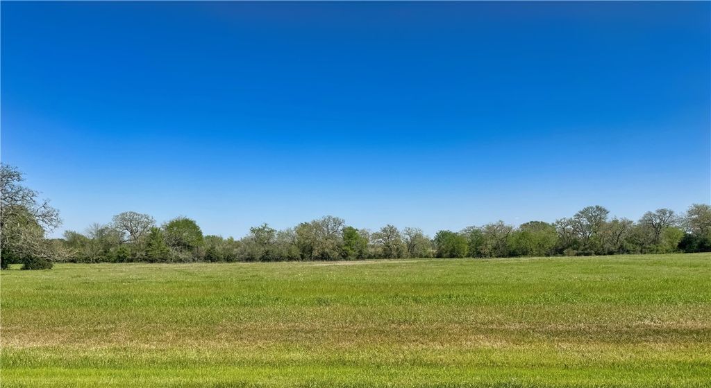 10146 Panther Creek Drive, Iola, TX 77861 — exterior