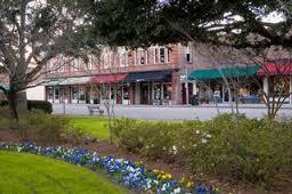 Image 50 of property listing at 139 Charpia Avenue, Summerville, SC 29483