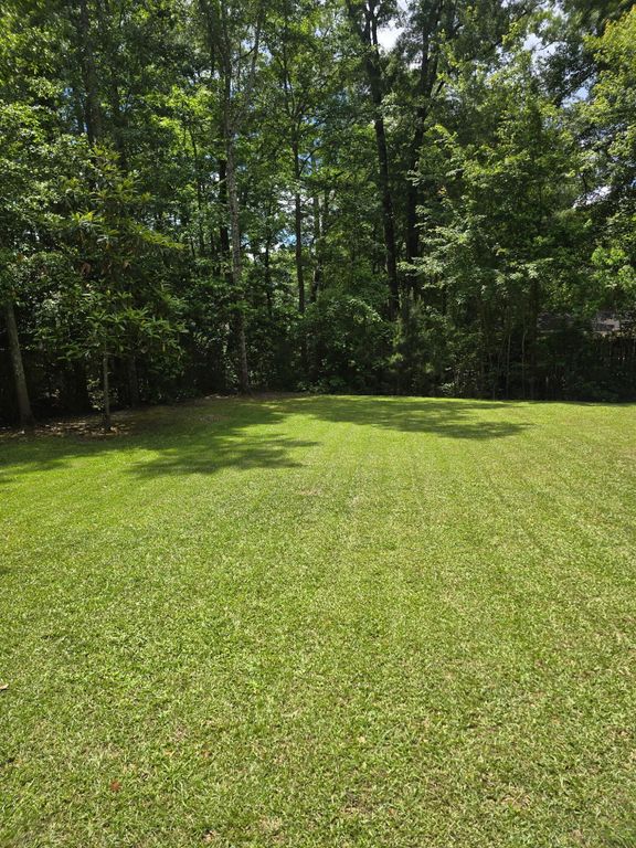 Image 52 of property listing at 139 Charpia Avenue, Summerville, SC 29483