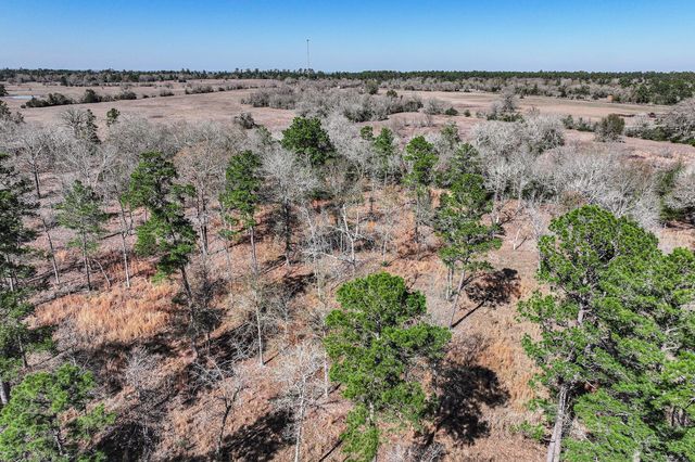 14.5 Ac Westview Dr, Huntsville, TX 77320