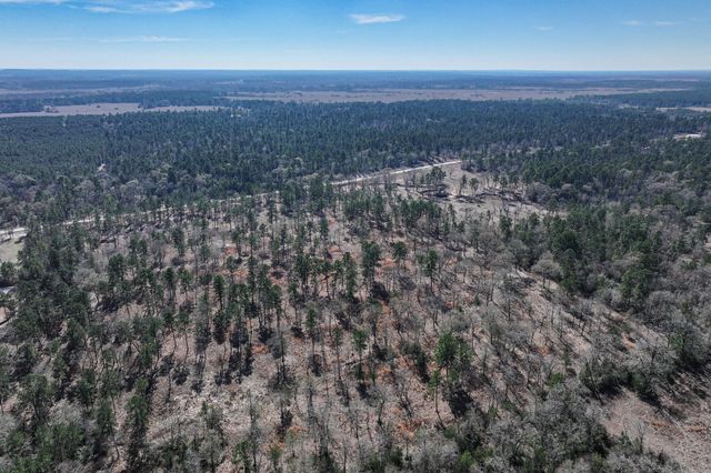 14.5 Ac Westview Dr, Huntsville, TX 77320