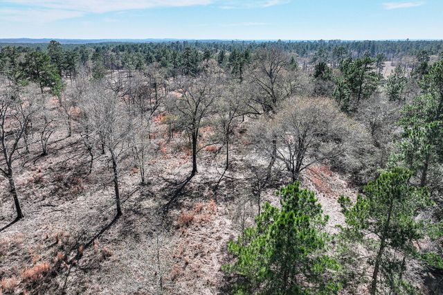 14.5 Ac Westview Dr, Huntsville, TX 77320