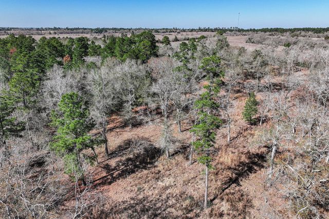 14.5 Ac Westview Dr, Huntsville, TX 77320