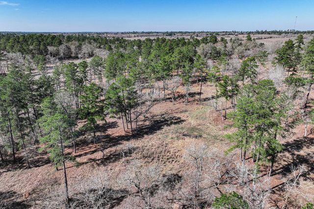 14.5 Ac Westview Dr, Huntsville, TX 77320