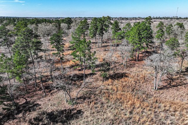 14.5 Ac Westview Dr, Huntsville, TX 77320