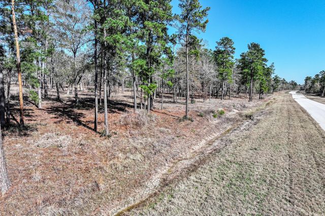 14.5 Ac Westview Dr, Huntsville, TX 77320