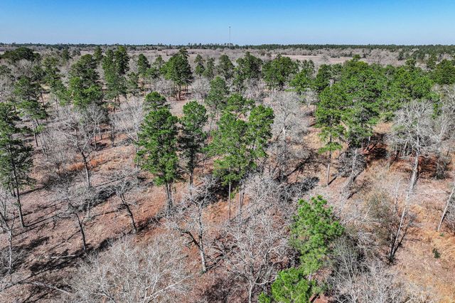 14.5 Ac Westview Dr, Huntsville, TX 77320