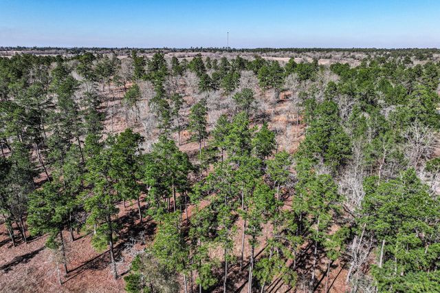 14.5 Ac Westview Dr, Huntsville, TX 77320