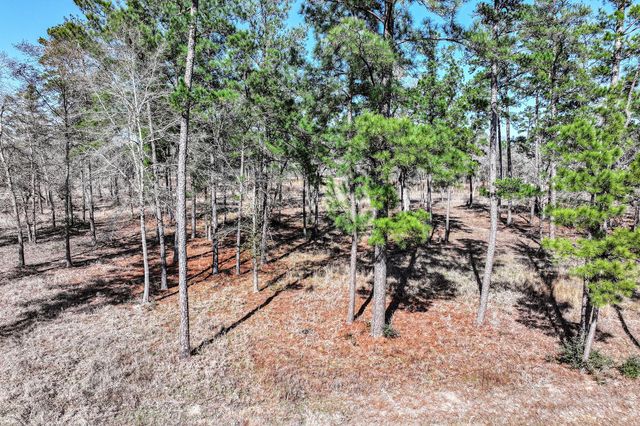 14.5 Ac Westview Dr, Huntsville, TX 77320