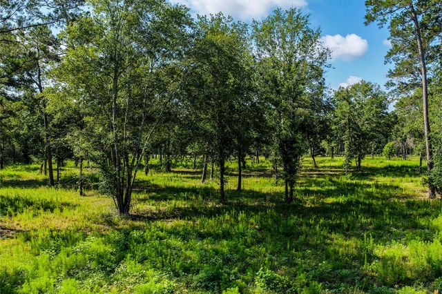 14.5 Ac Westview Dr, Huntsville, TX 77320