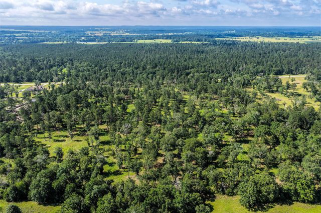 14.5 Ac Westview Dr, Huntsville, TX 77320