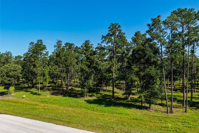14.5 Ac Westview Dr, Huntsville, TX 77320